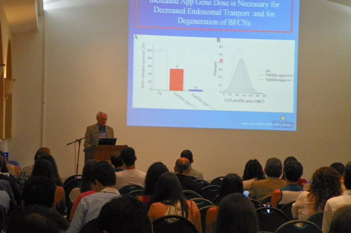 COLNE-2014-02 - copia
