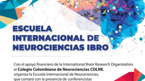 Escuela Neurociencias